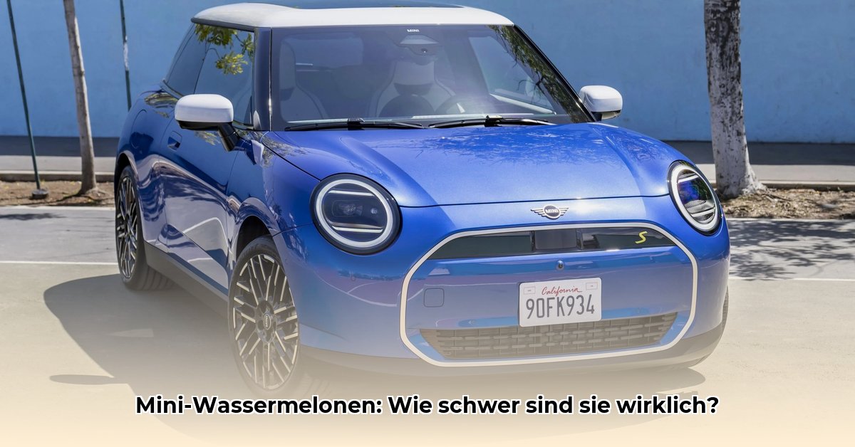 mini-wassermelone-gewicht